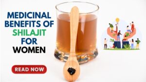 Medicinal Benefits Of Shilajit For Women